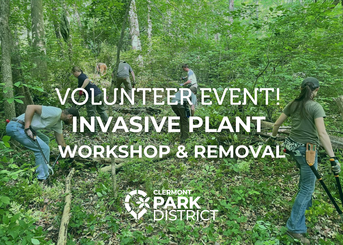 volunteerevent
